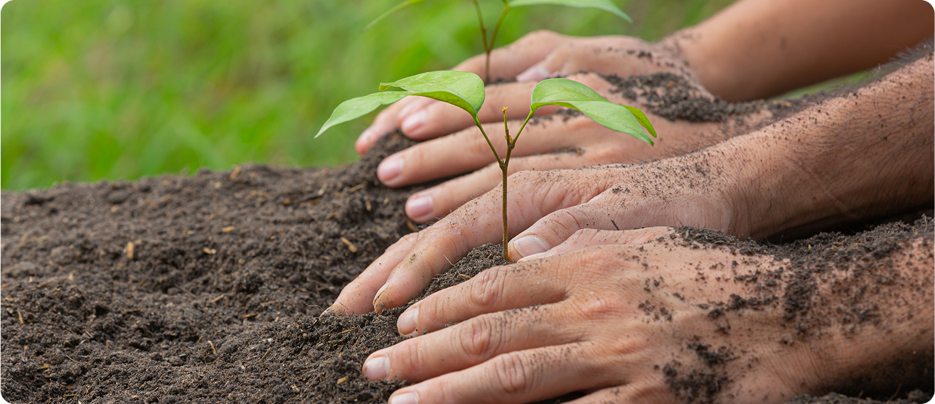 Compost Power