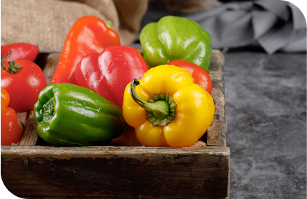 Capsicum