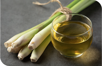 Lemongrass