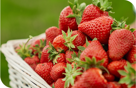 Strawberries
