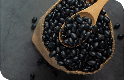 Urad