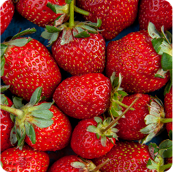 Fruits