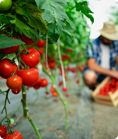 Farm Workers