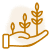 Increase Yield
